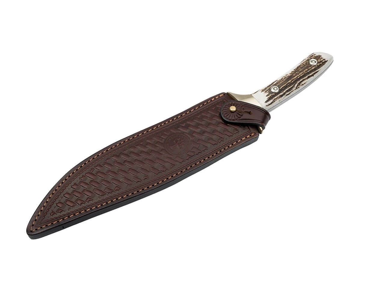 El Gigante 2.0 Hirschhorn 4 El Gigante 2.0 Hirschhorn – Bild 4