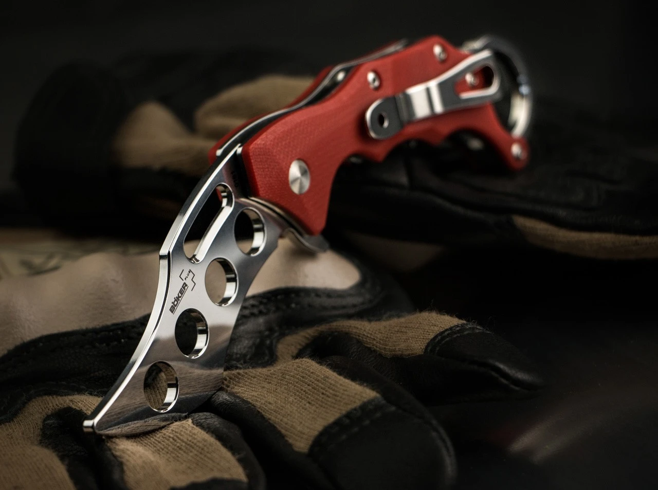 Wildcat Trainer 4 Wildcat Trainer – Bild 4