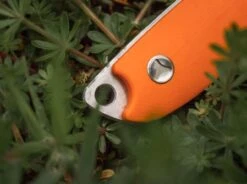 Magnum EFD -Messer Förderung magnum efd 02ry055 7 1280x1280