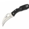 Spyderco Tasman Salt H1 Plain Black